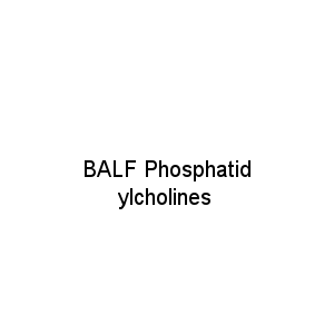 BALF Phosphatidylcholines